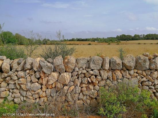 Fantástico terreno rústico a poca distancia del maravilloso pueblo de Santanyí - BALEARES