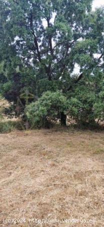 Parcela con vistas a la naturaleza de 1040 m² en la urbanización Sotolargo, Valdeaveruelo. - GUADA