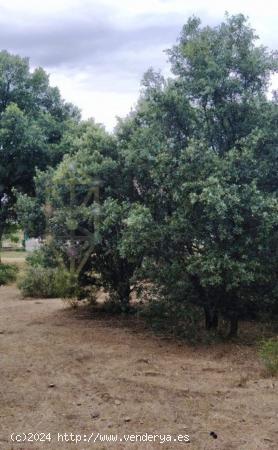 Parcela con vistas a la naturaleza de 1040 m² en la urbanización Sotolargo, Valdeaveruelo. - GUADA