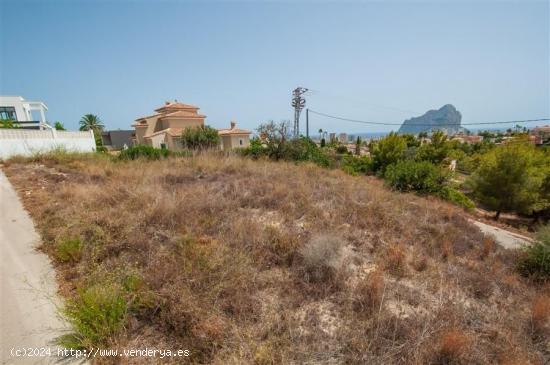 Parcela situada en una zona tranquila con bonitas vistas al mar. - ALICANTE