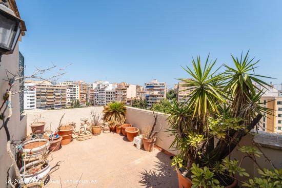 Ático dúplex en Palma con vistas panorámicas al mar y la catedral - BALEARES