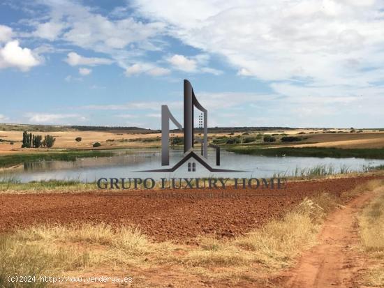 FINCA SITUADA EN EL TERMINO MUNICIPAL DE CHINCHILLA DE MONTE-ARAGON - ALBACETE