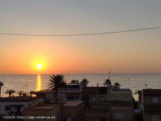 COSTA PILAR DE LA HORADADA TEMPORADA INVIERNO - ALICANTE