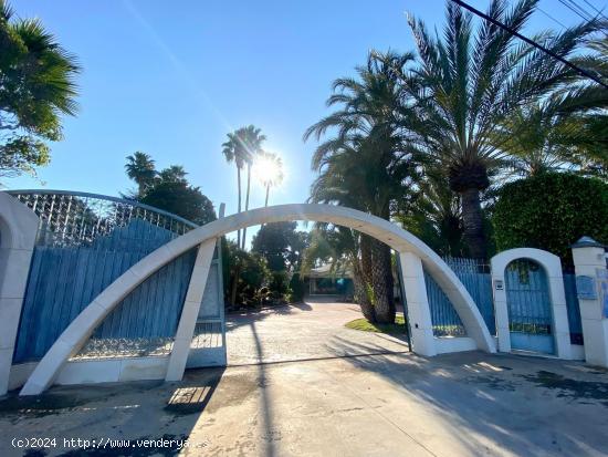 Casa de campo - ALICANTE