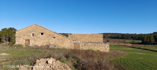  Suelo rústico en venta  en Torre del Compte - Teruel 