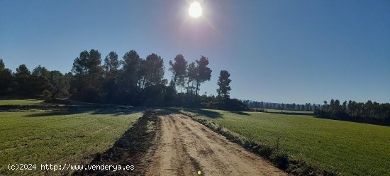 Suelo rústico en venta  en Torre del Compte - Teruel