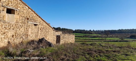 Suelo rústico en venta  en Torre del Compte - Teruel