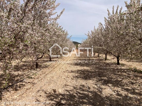 Increible finca en un paraje incomparable