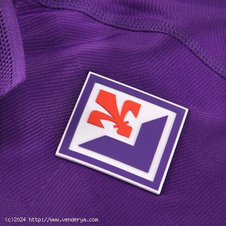 fake Fiorentina shirts 2024/2025