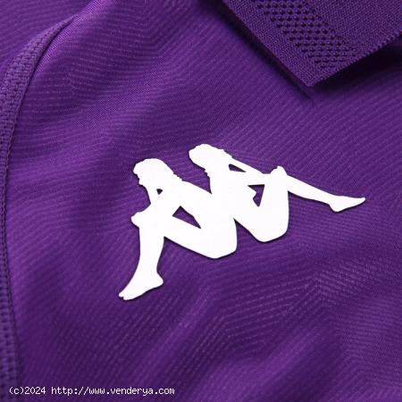 fake Fiorentina shirts 2024/2025