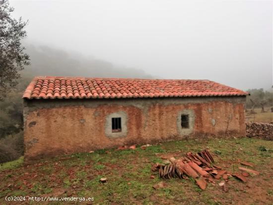  Finca a la venta de 8 hectáreas con 3 construcciones en Almadén de la Plata - SEVILLA 