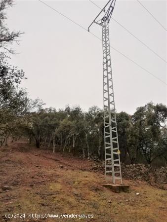 Finca a la venta de 8 hectáreas con 3 construcciones en Almadén de la Plata - SEVILLA