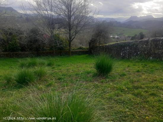 SE VENDE TERRENO EN CERBIAGO- AMPUERO (CANTABRIA) - CANTABRIA