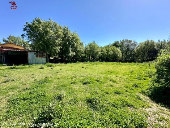 Parcela rústica de 2.408m2 en la calle Molino de la Cruz frente a la urbanización Los Almendros - 