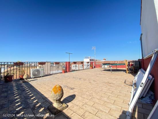 Casa con dos viviendas patio y azotea en La Milagrosa - CADIZ