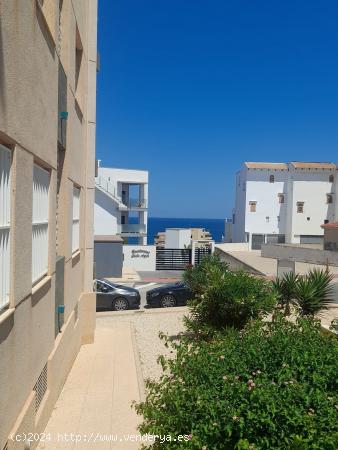 Apartamento vacacional con piscina- Playa de La Mata - ALICANTE