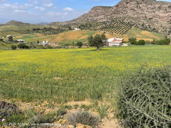 se vende parcela rustica en Pizarra en los Lagares - MALAGA