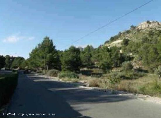 TERRENO URBANO EN PETRER - ALICANTE