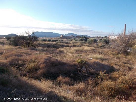 TERRENO URBANIZABLE EN AGOST - ALICANTE