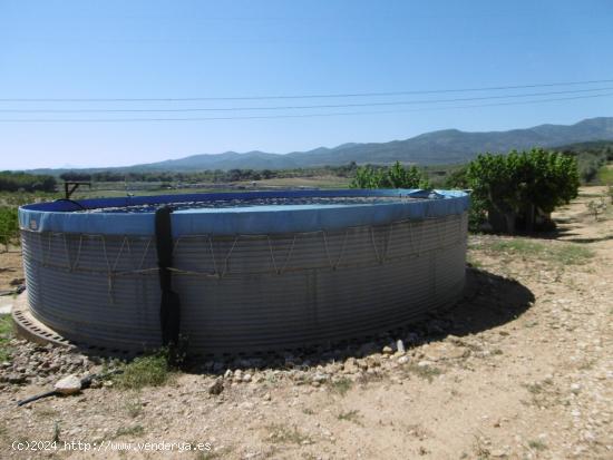 FINCA RUSTICA CON POZO DE AGUA ABUNDANTE, BALSA, CASETA Y LUZ DE RED - CASTELLON