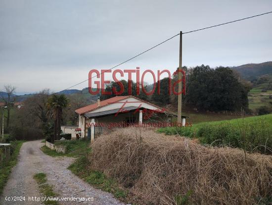 CASA DE PIEDRA CON AMPLIA PARCELA. ESCOBEDO DE VILLAFUFRE. - CANTABRIA