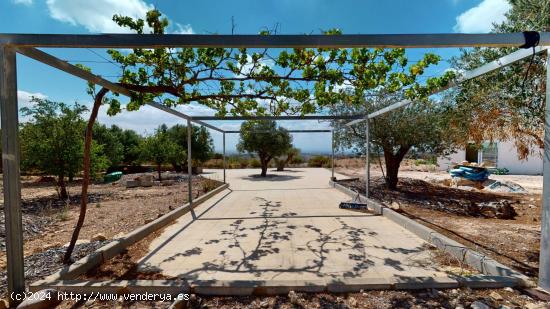 Espectacular finca con mas de 21.000 m2 llenos de naturaleza y unas vistas únicas en Corvera - MURC