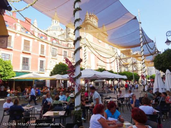  Local en pleno centro, en la mejor zona comercial de toda Sevilla. - SEVILLA 