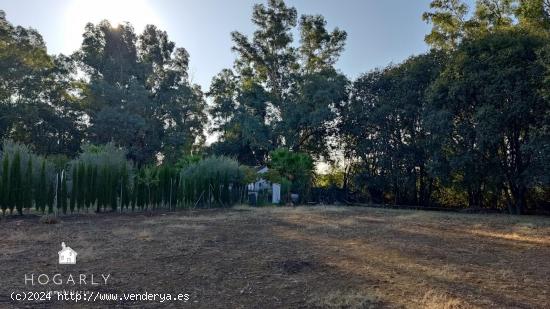 TERRENO 1.600M2 ENTRE HIGUERÓN Y MAJANEQUE - CORDOBA