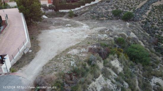  PARCELA COMPLETAMENTE LLANA Y CON VISTAS INMEJORABLES EN ZONA EXCLUSIVA DE LA ALCAYNA - MURCIA 