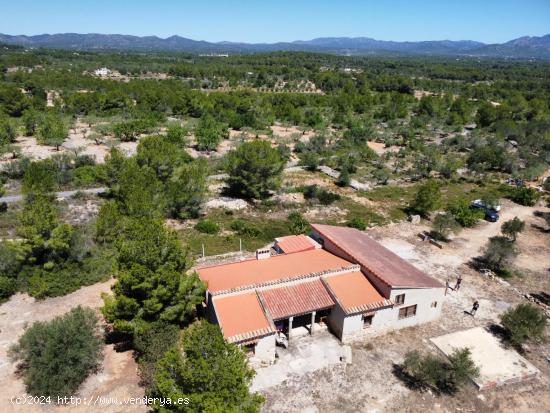 Bonita Finca Rústica con impresionante Masía de campo de 210 M2, vistas al mar - TARRAGONA