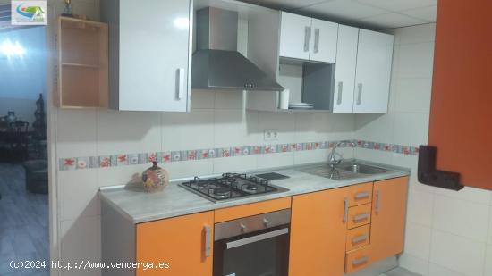 Finca rustica de 13.300 m2 y vivienda de 4 dormitorios - MURCIA