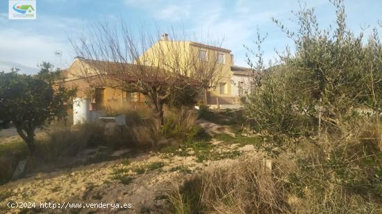 Finca rustica de 13.300 m2 y vivienda de 4 dormitorios - MURCIA