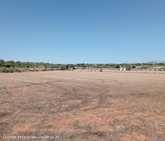 FINCA RÚSTICA CON LICENCIA EN TRÁMITE - BALEARES