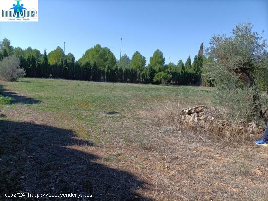  SE VENDE TERRENO URBANO  A 10 MINUTOS DE ALBACETE - ALBACETE 