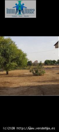 VIVIENDA CON 1200 METROS DE TERRENO RUSTICO A 5 MINUTOS ANDANDO DE FIESTA DEL ARBOL - ALBACETE