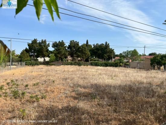 SE VENDE TERRENO -CARRETERA JAEN- - ALBACETE