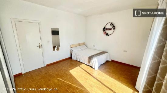 Luminosa habitación con cama de matrimonio equipada para estudiantes - SEVILLA