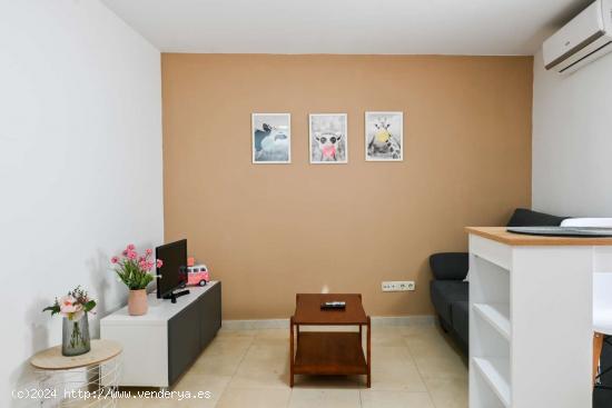 Apartamento entero de 1 habitaciones en Madrid - MADRID