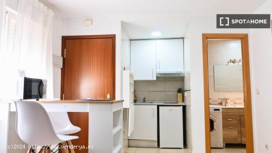 Apartamento entero de 1 habitaciones en Madrid - MADRID