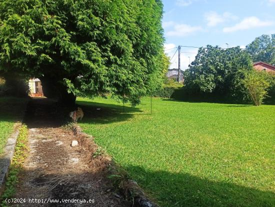 Casa con finca en Ferrol - A CORUÑA