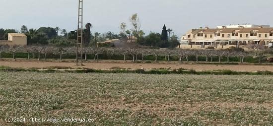 TERRENO A 300 Mº DEL NUCLEO DE  PERLETA - ALICANTE