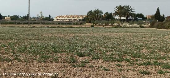 TERRENO A 300 Mº DEL NUCLEO DE  PERLETA - ALICANTE