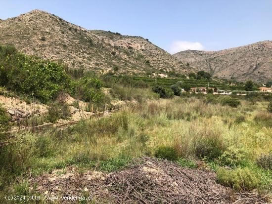 TERRENO EN ASPE - ALICANTE