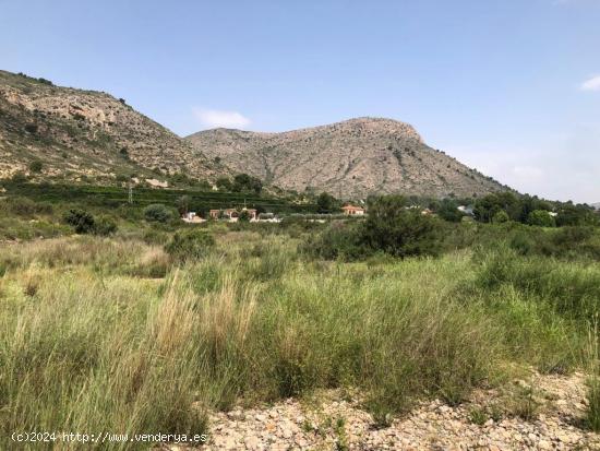 TERRENO EN ASPE - ALICANTE