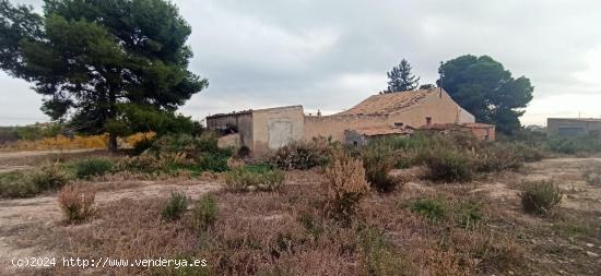  TERRENO URBANIZABLE  EN LLANO DE SAN JOSE - ALICANTE 