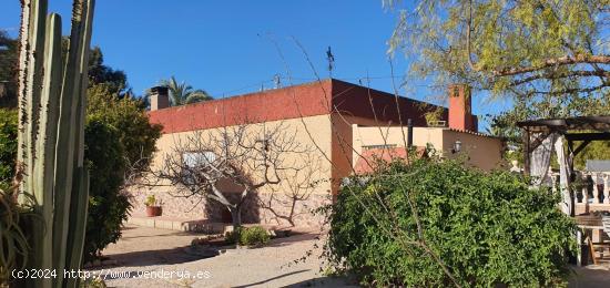 CASA EN LA HOYA ( ELCHE ) - ALICANTE