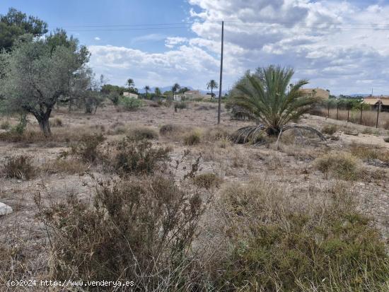 11000 m2 TERRENO RÚSTICO PARA CONSTRUIR - ALICANTE