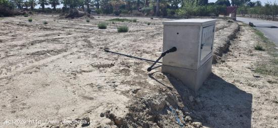 TERRENO DE 4000 M2 CON AGUA EN PERLETA - ALICANTE