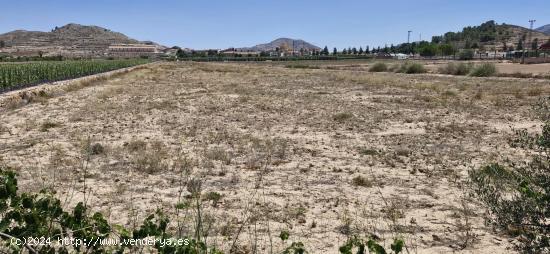  20.000m2 DE TERRENO PARA EDIFICAR EN HONDON DE LAS NIEVES! - ALICANTE 