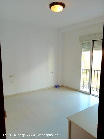 PISO EN VENTA EN LA LOCALIDAD DE BURGUILLOS, SEVILLA. - SEVILLA